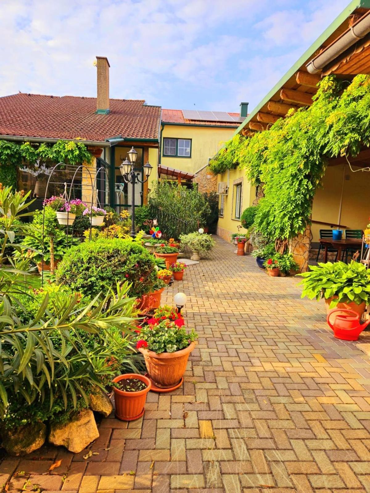 Ferienwohnung Koppi Pamhagen Exterior photo